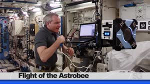 Space to Ground: Tending the Hive: 06/21/2019